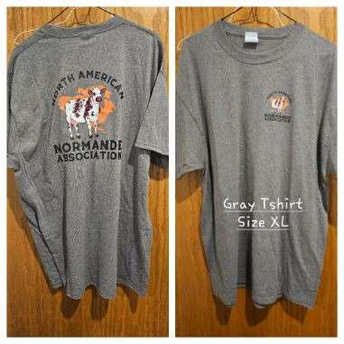 XL Grey Arch Logo T-Shirt