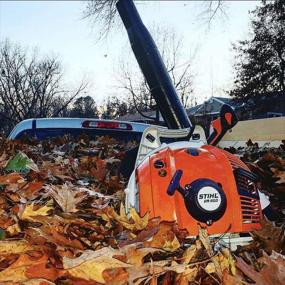 Spring and Fall Clean up