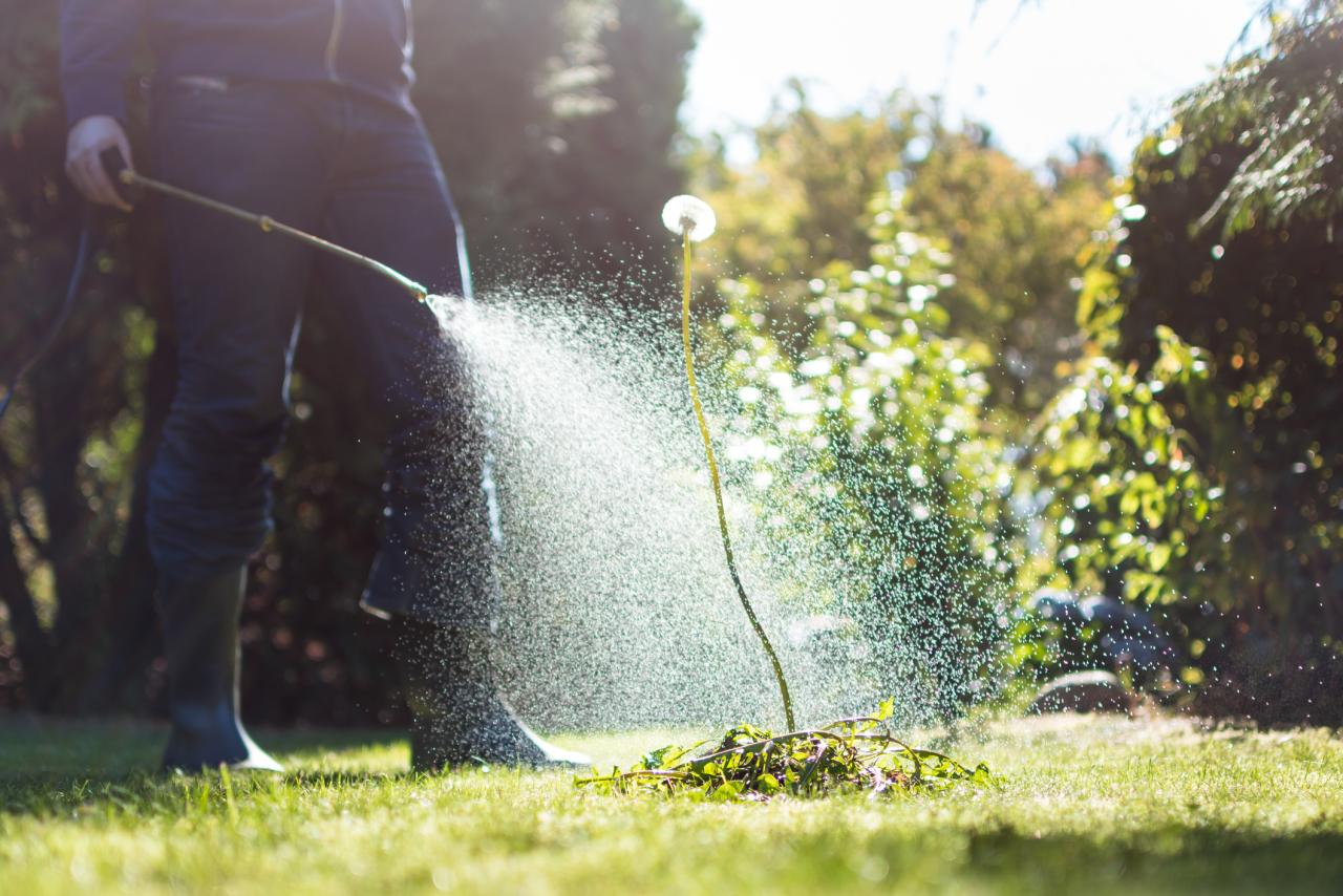Fertilization & Weed Control 