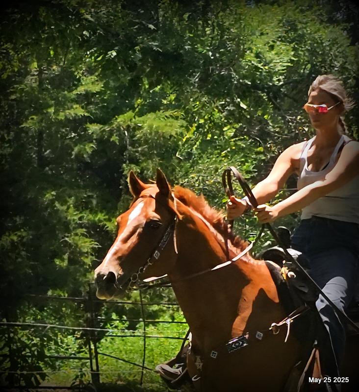 Smart Little Buzz AKA hawk