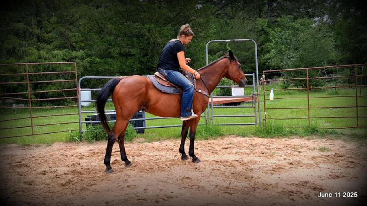 Sammy – A Comeback Story with a Heart of Gold