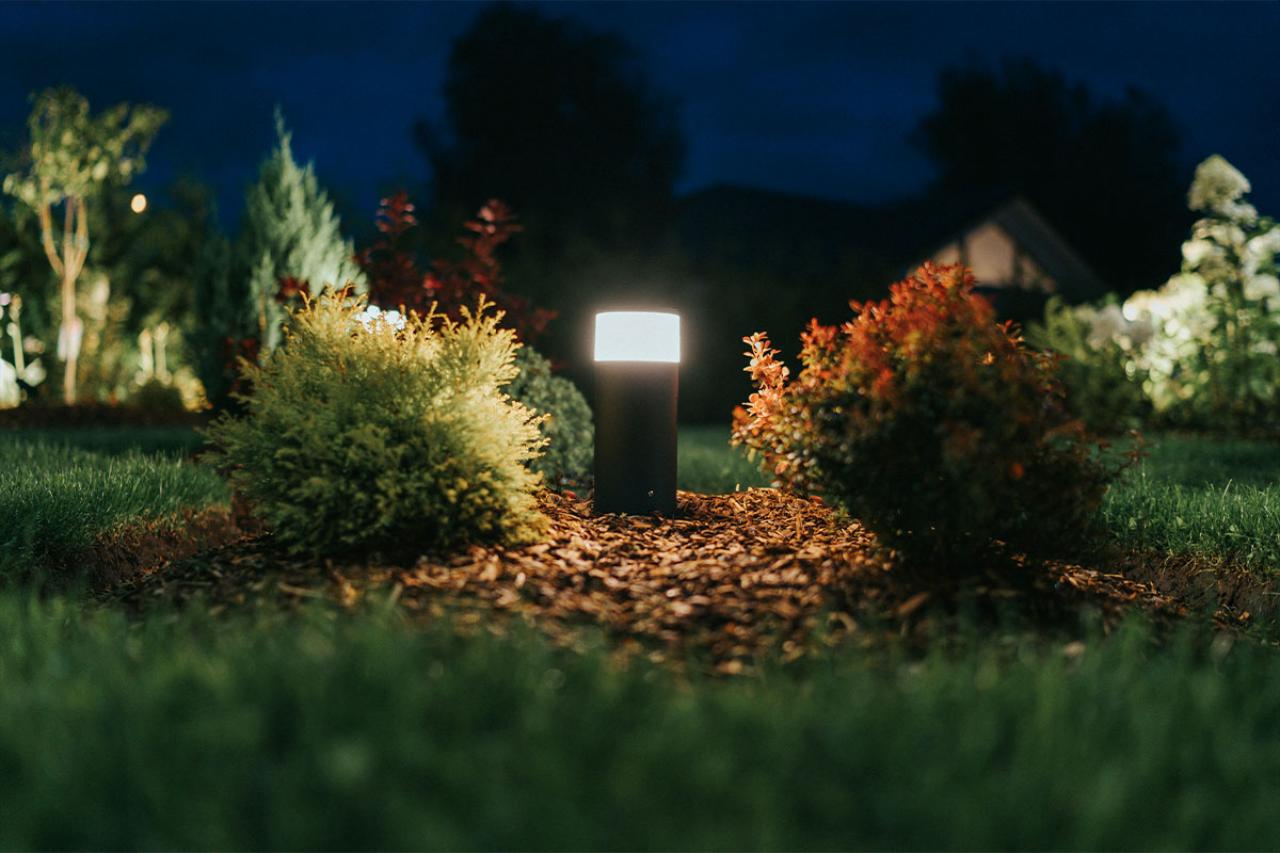 Landscape Lighting