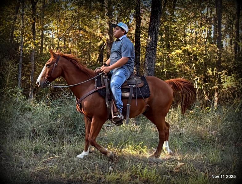 💚Ranger Safe for All Ages💚