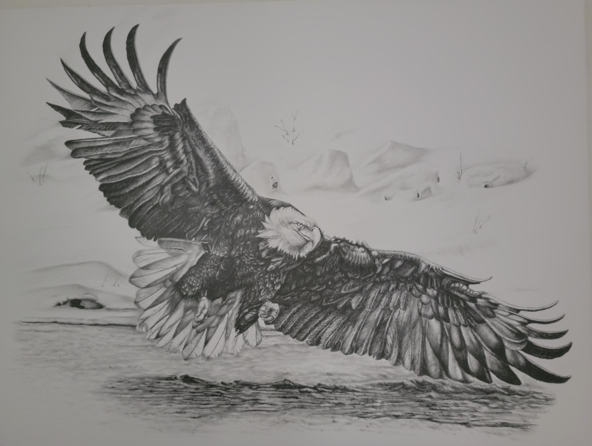 Winter Eagle