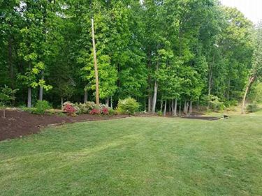 Landscaping Services