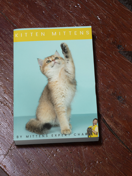 Kitten Mittens: a comprehensive guide to mitten making