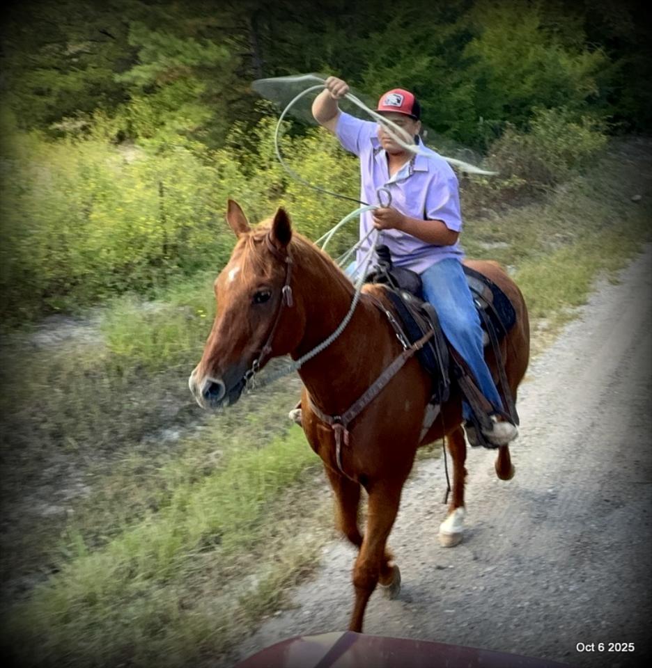 Biggie – Ranch-Tested, Family-Safe, and Ready to Ride!