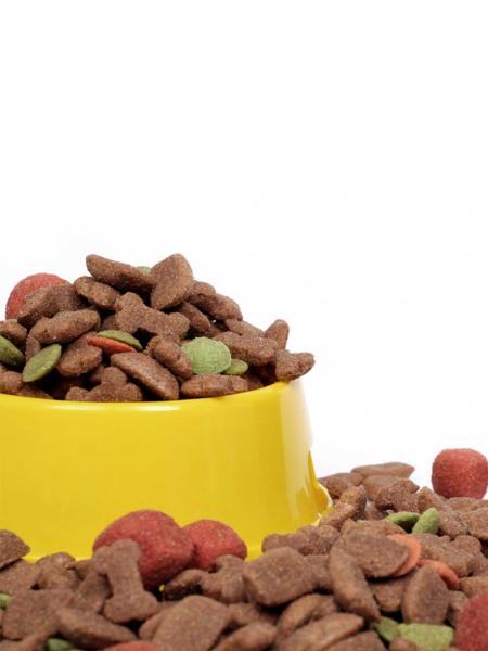 Cat Food, Salmon, Grain Free, 20lb bag