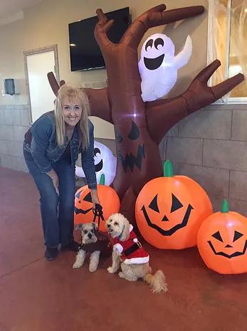 Four Paws Bed & Bath