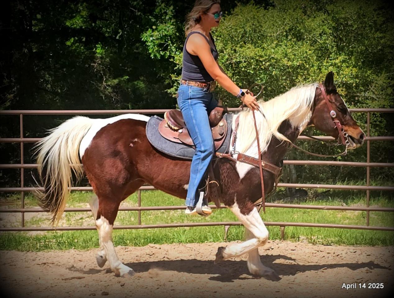Montana – The Picture-Perfect Partner with All the Right Moves