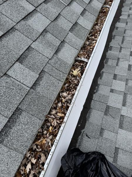 Why Gutter Cleaning Matters