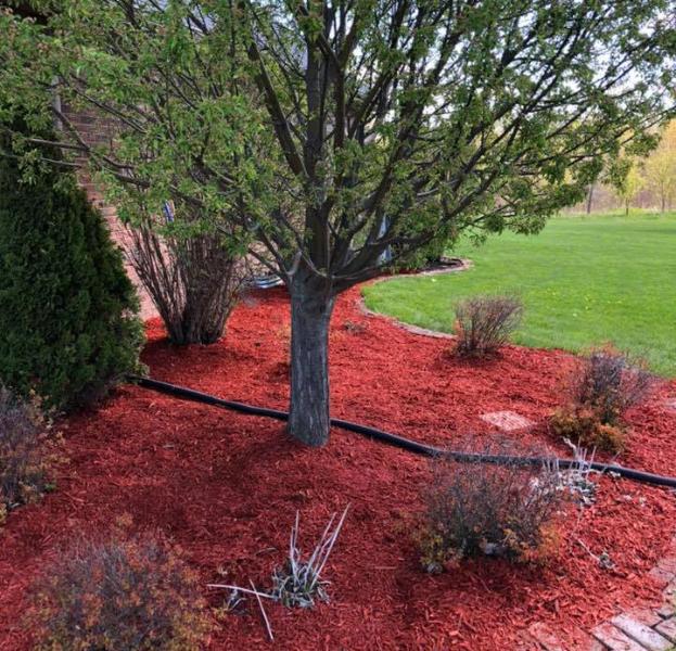 Bear Landscaping and Snow Removal In Oshkosh WI Services