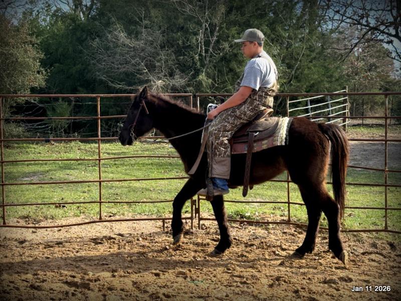 🩷❤️Pixie🩷❤️