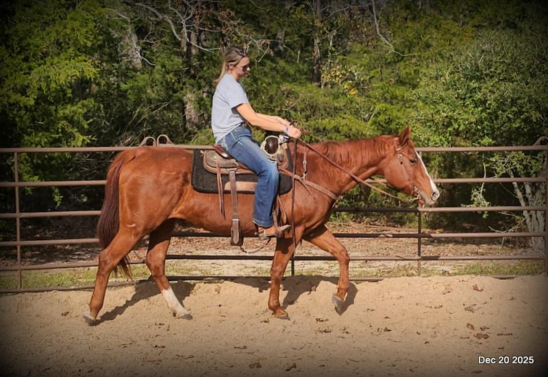 💚Shez Cool and Famous "Cool"💚