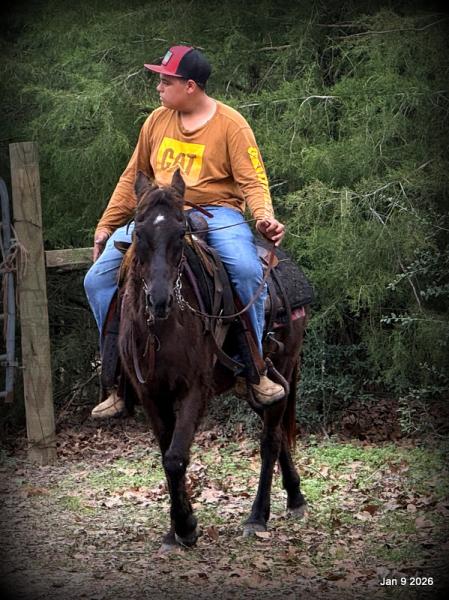 🩷❤️Pixie🩷❤️