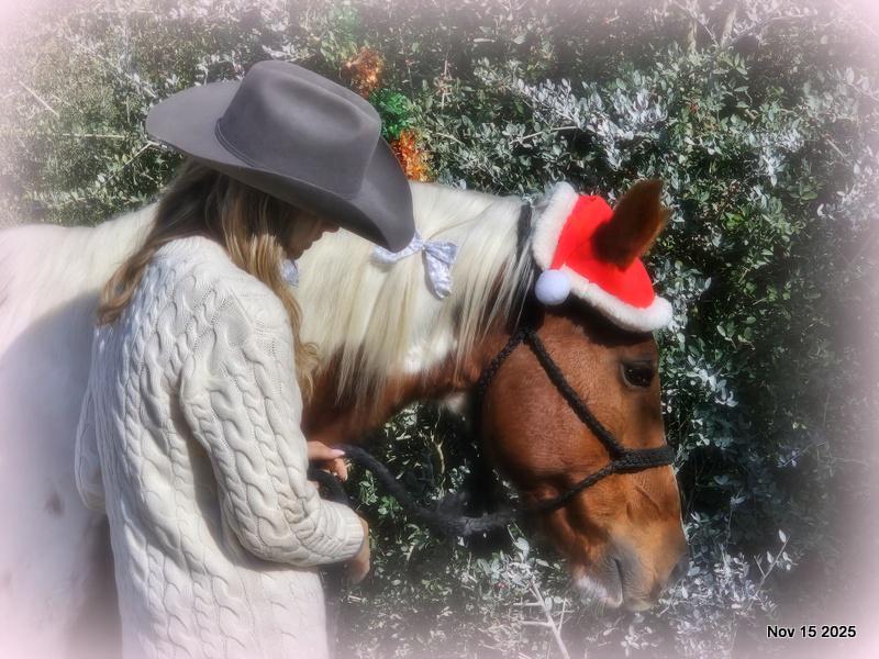 Jazzy – A Warrior Seeking Her Second Chance