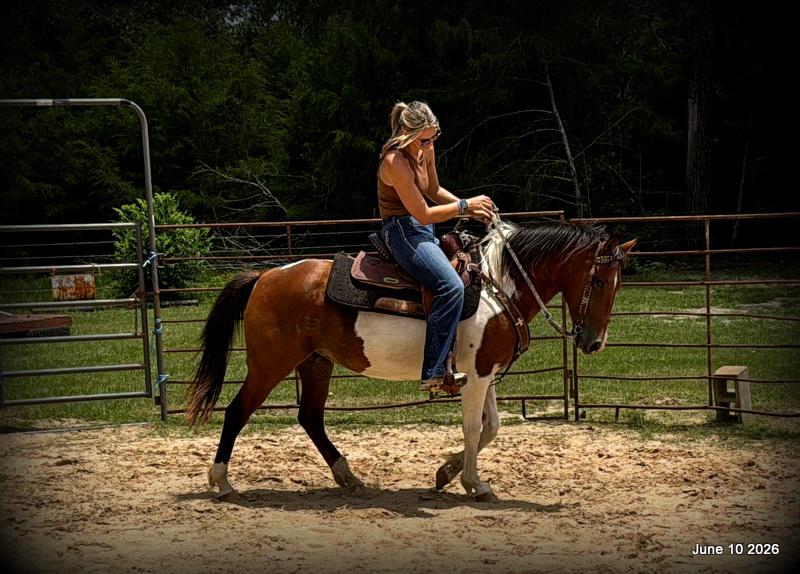 🧡Coca🧡Solid, Sensible Trail Mare 🌟