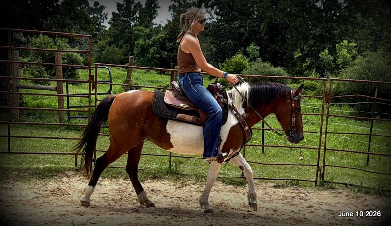 🧡Coca🧡Solid, Sensible Trail Mare 🌟