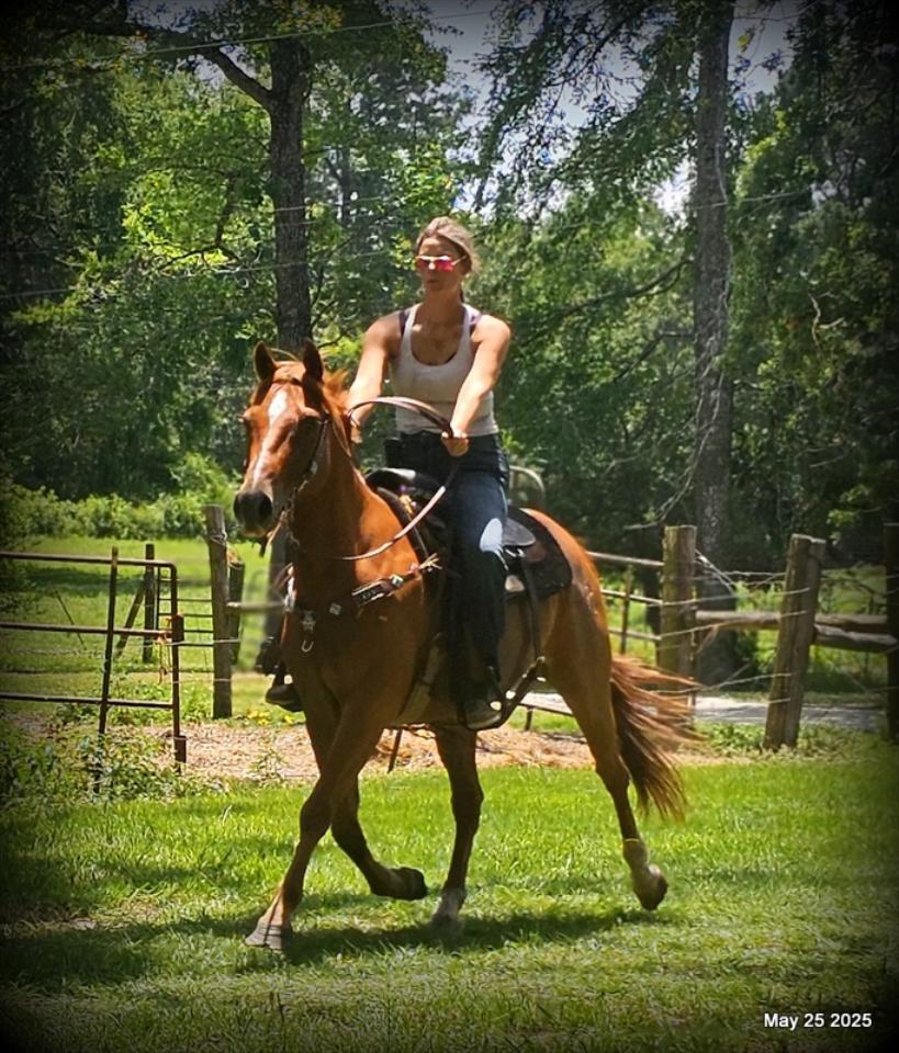 Smart Little Buzz AKA hawk