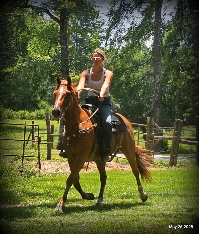 Smart Little Buzz AKA hawk