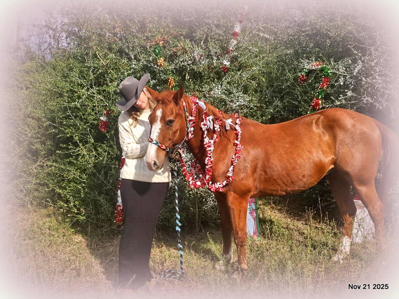 💚Ranger Safe for All Ages💚