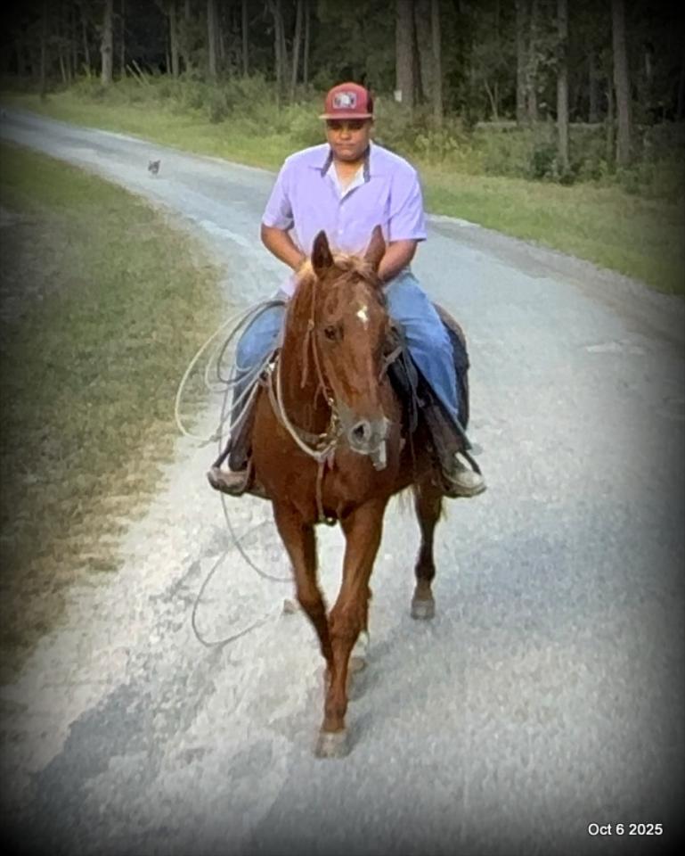 Biggie – Ranch-Tested, Family-Safe, and Ready to Ride!