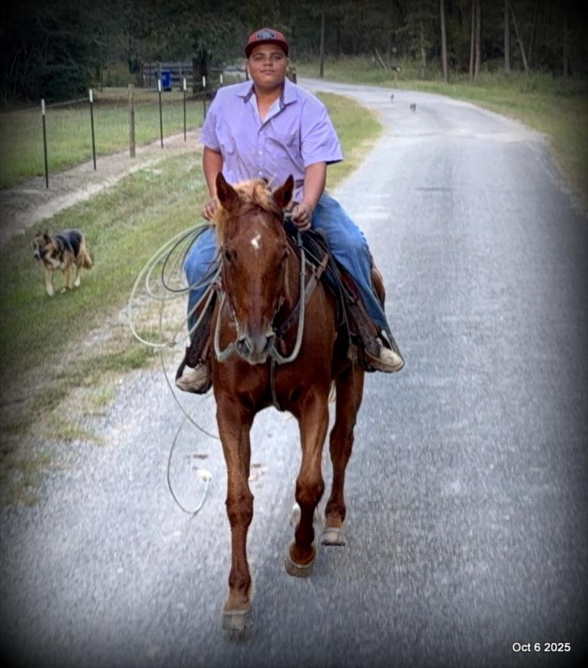 Biggie – Ranch-Tested, Family-Safe, and Ready to Ride!