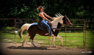 Montana – The Picture-Perfect Partner with All the Right Moves