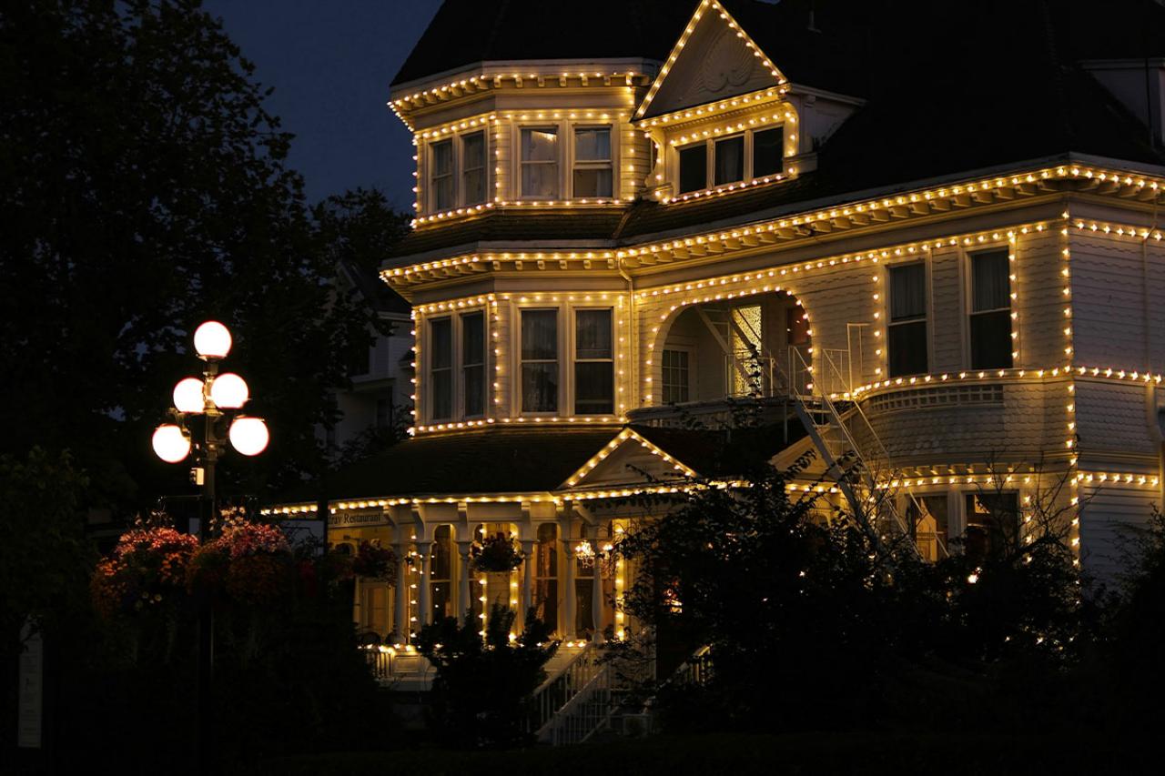 Why Choose Wilson’s Soft Wash and Lawn Care