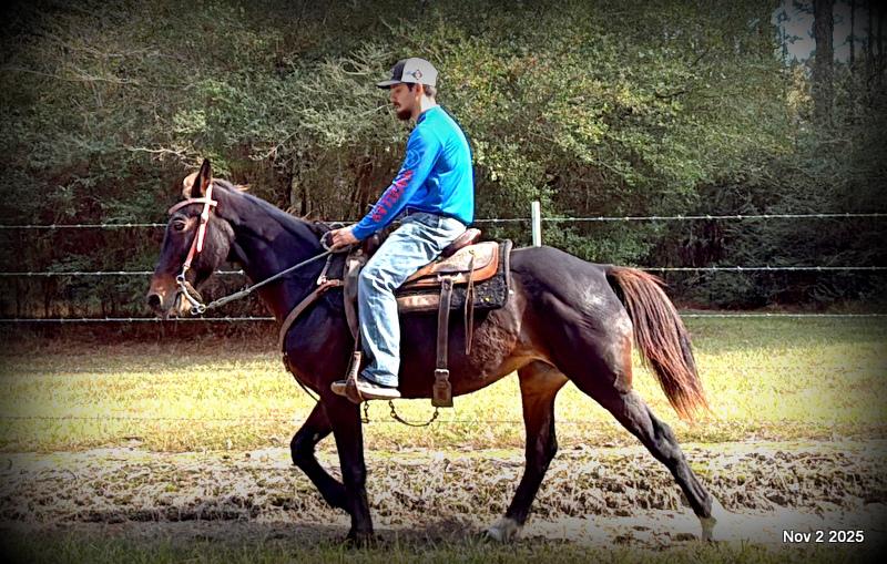 🧡Grace🧡 💔 ✨ The Underdog Who Deserves a Christmas Miracle ✨ 💔