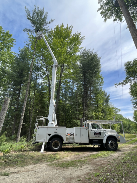 Arboricultural Services