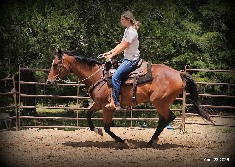 Darylslitlediablo (Diablo)