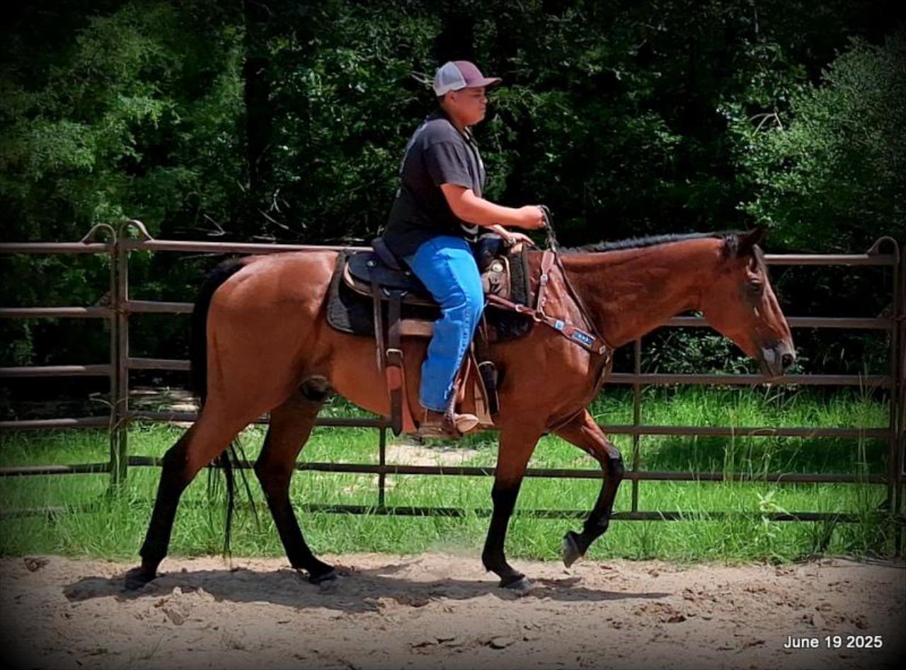 Sammy – A Comeback Story with a Heart of Gold