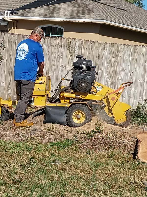 E.J.R stump grinder grinding a stump below ground level
