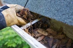 Gutter Soft Washing - Central Michigan Gutter Cleaning