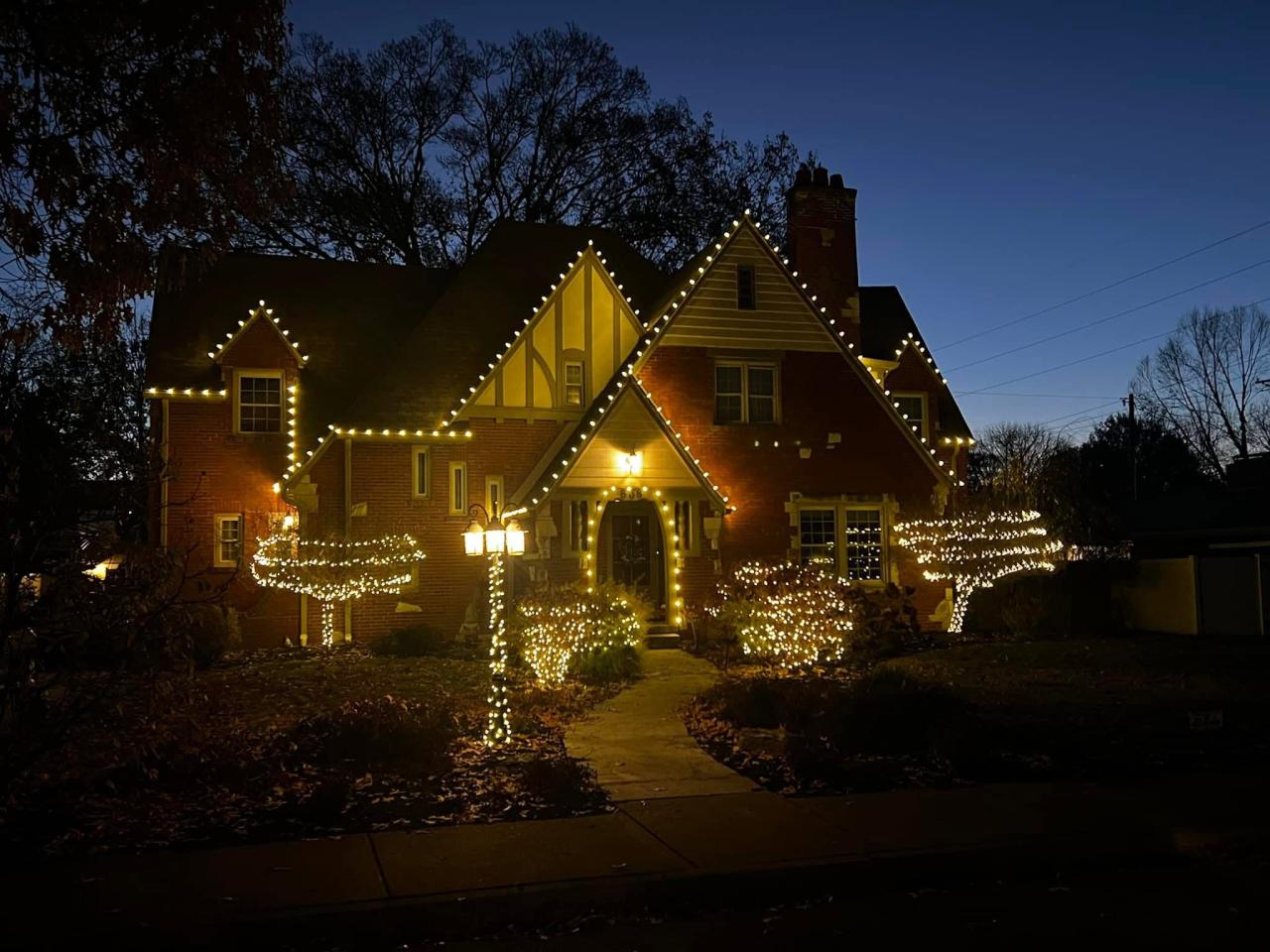 Christmas Light Installation
