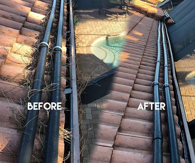 Gutter Cleaning