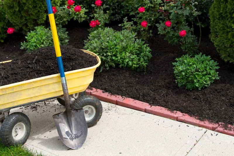 Mulching -&nbsp;Make Your Bed!