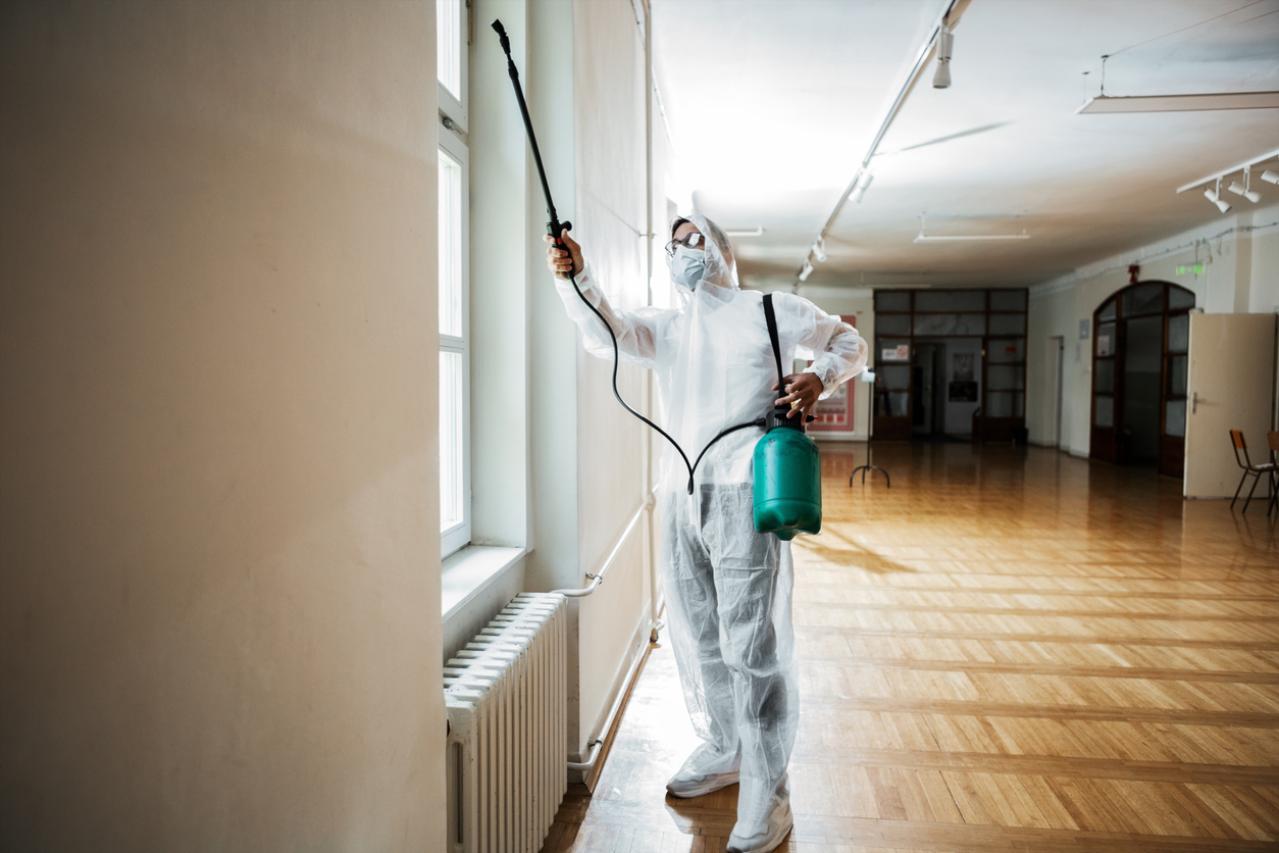 Pest Control