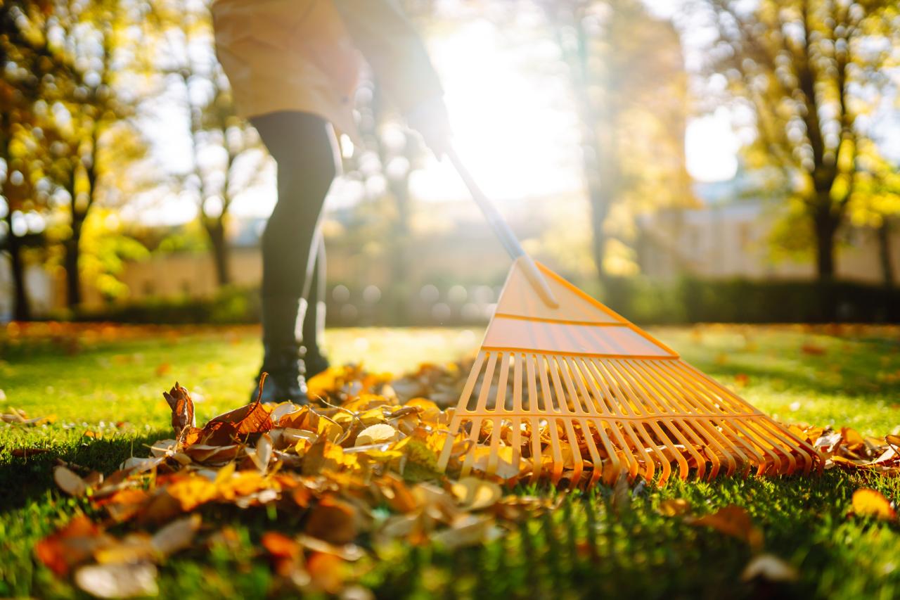 Spring & Fall Clean Up 