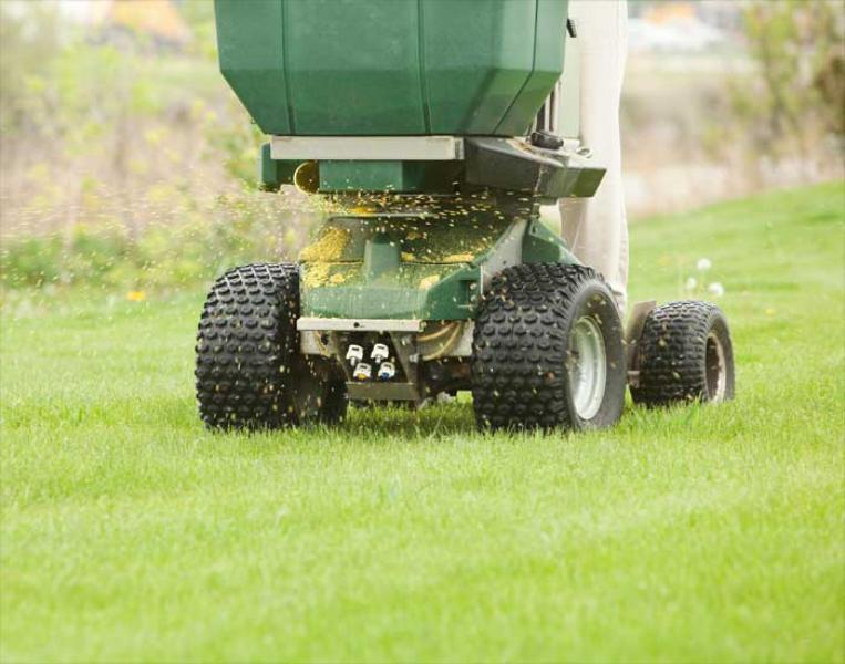 Lawn Treatments