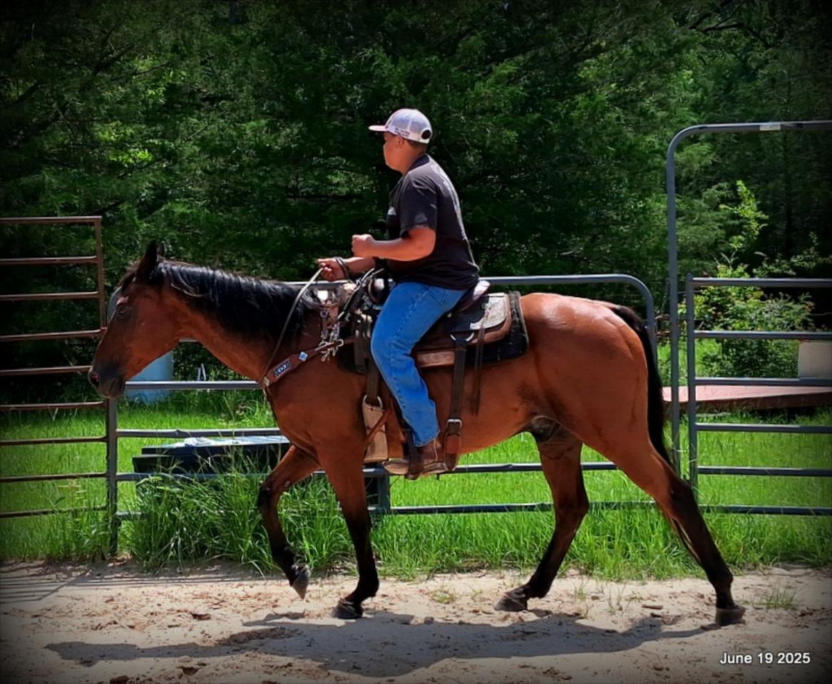 Sammy – A Comeback Story with a Heart of Gold