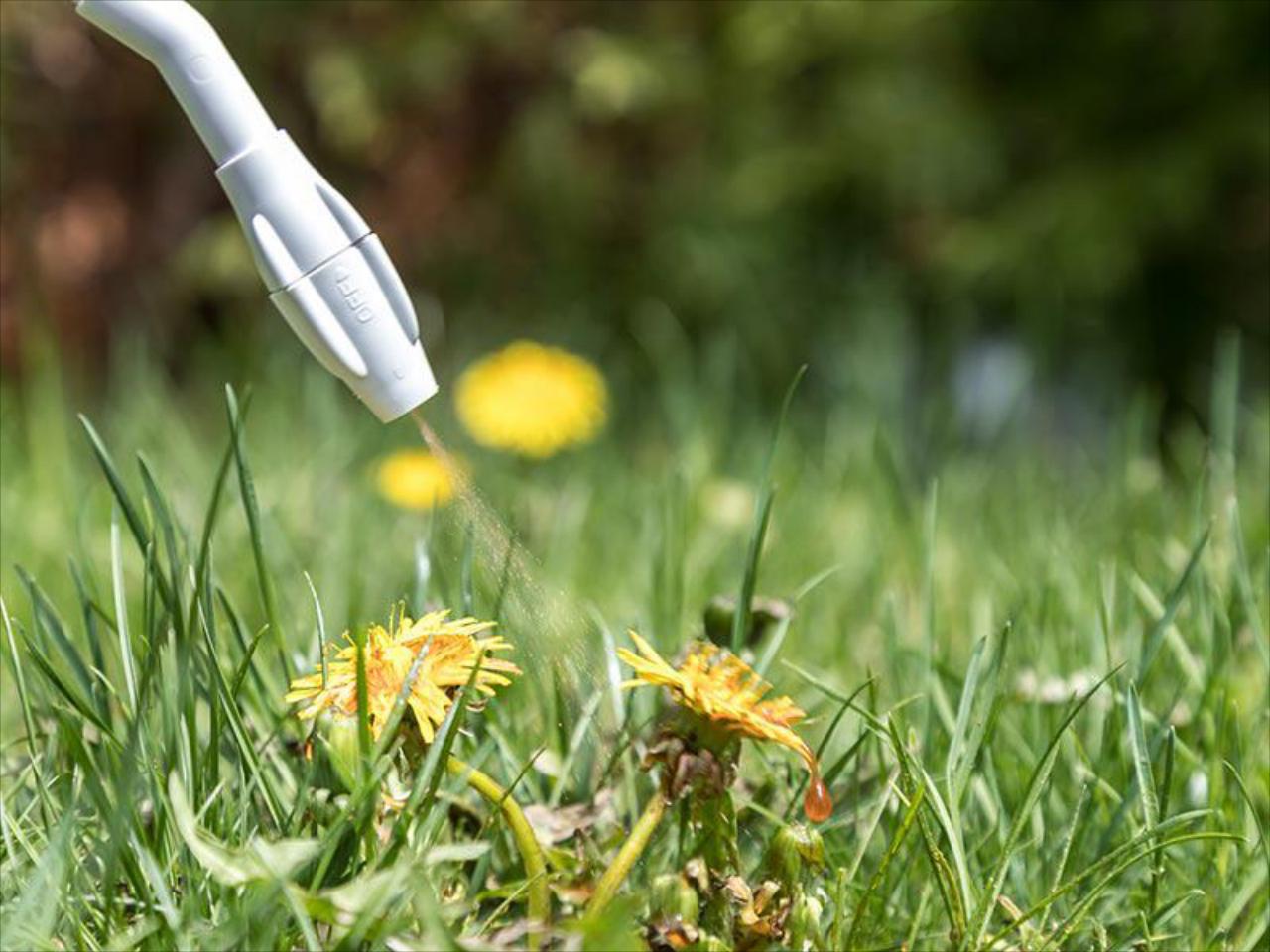 Weed Control