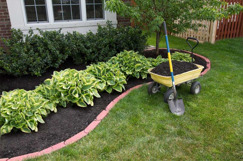 Mulch Placement&nbsp;
