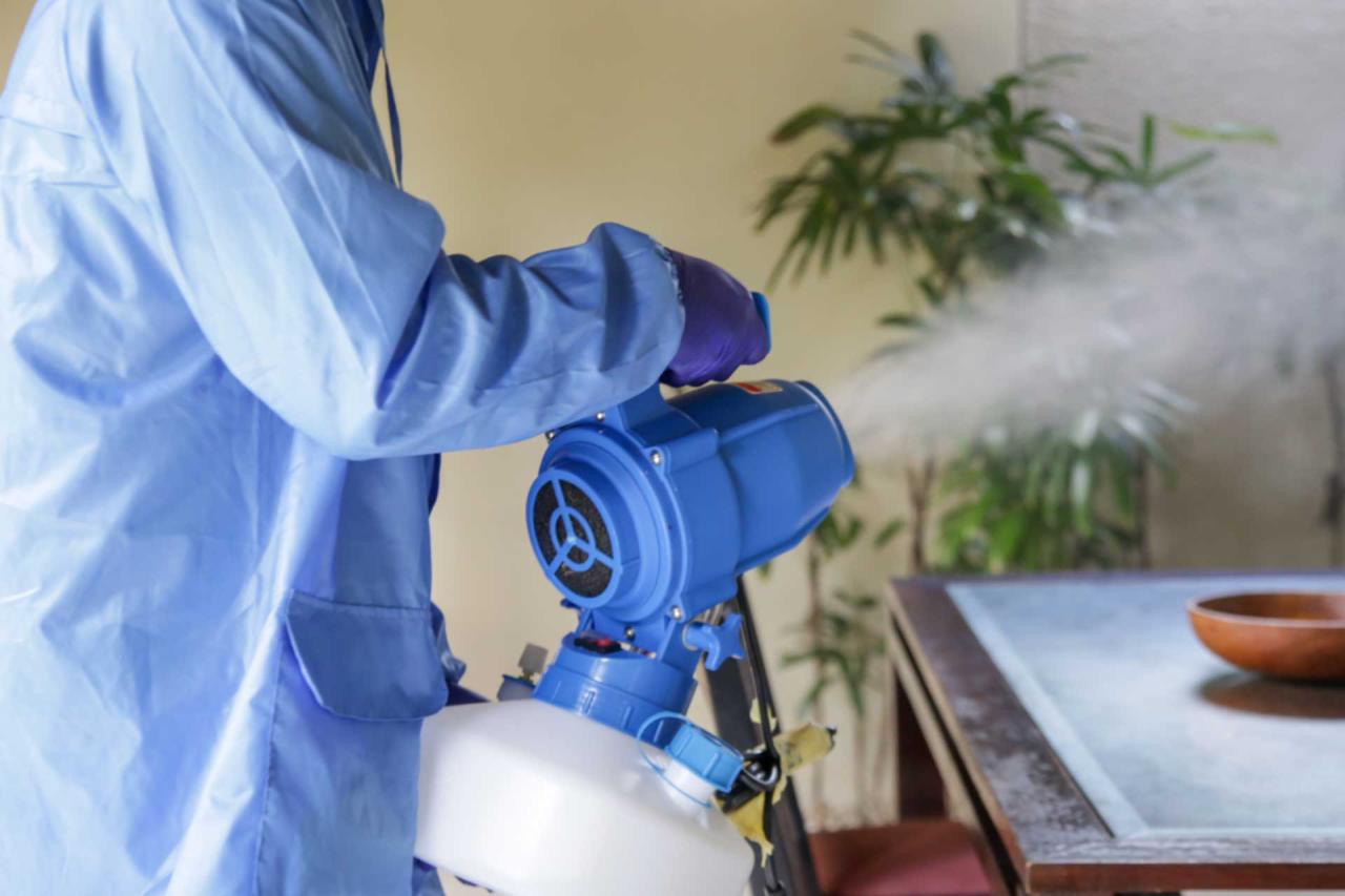 Electric Static Disinfection Cleaning