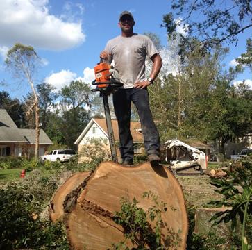 There are many reasons why trees may need to be removed from a property.&nbsp;We specialize in dangerous tree removal have the experience and equipment to handle your most difficult trees
are licensed and insured&nbsp;offer free estimates