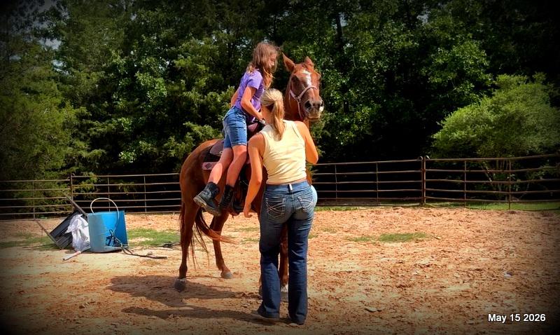 ❤️Mocha❤️Mare with a Story Still Being Written 🌟
