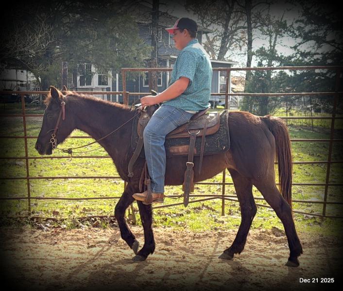 🩷❤️Pixie🩷❤️