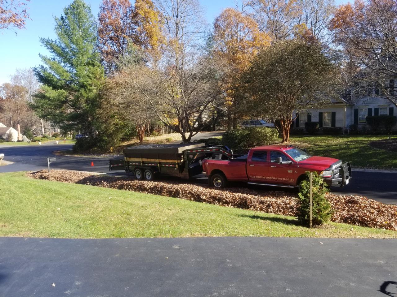 Yard Clean-up