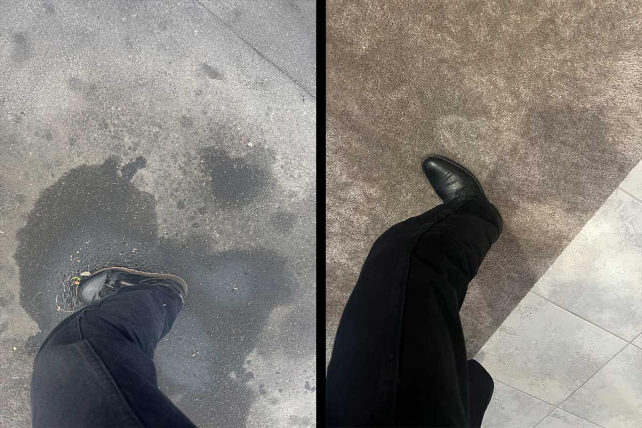 Driveway Car Oil/Algae/Black Mold?